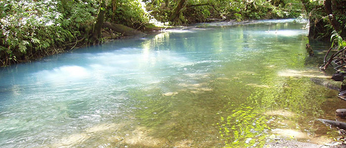 Celeste River and Caño Blanco Kayak Safari
