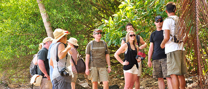 Guided Naturalist Hike at Ballena National Park