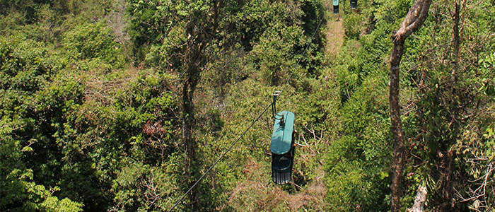 Rain Forest Aerial Tram Pacific Park