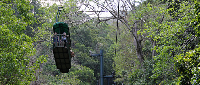 Rain Forest Aerial Tram Pacific Park