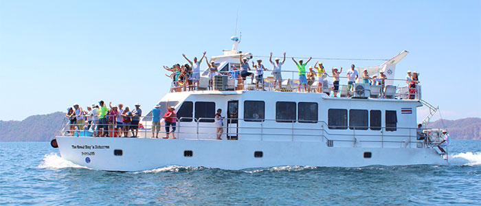 Calypso's Catamaran Cruise to Tortuga Island