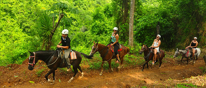 Horseback Riding and Waterfall Tour