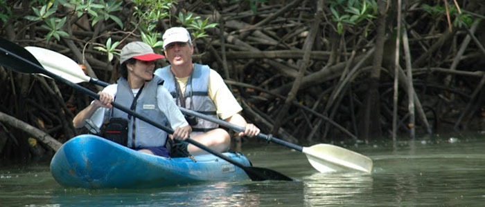 Damas Mangrove Kayaking