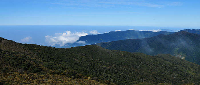 Los Quetzales National Park