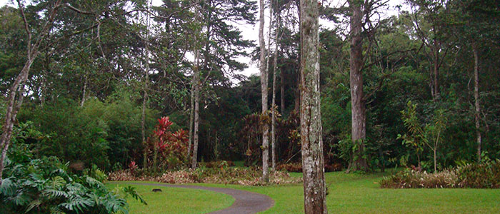 Tour Irazú Volcano, Orosi Valley and Lankaster Gardens