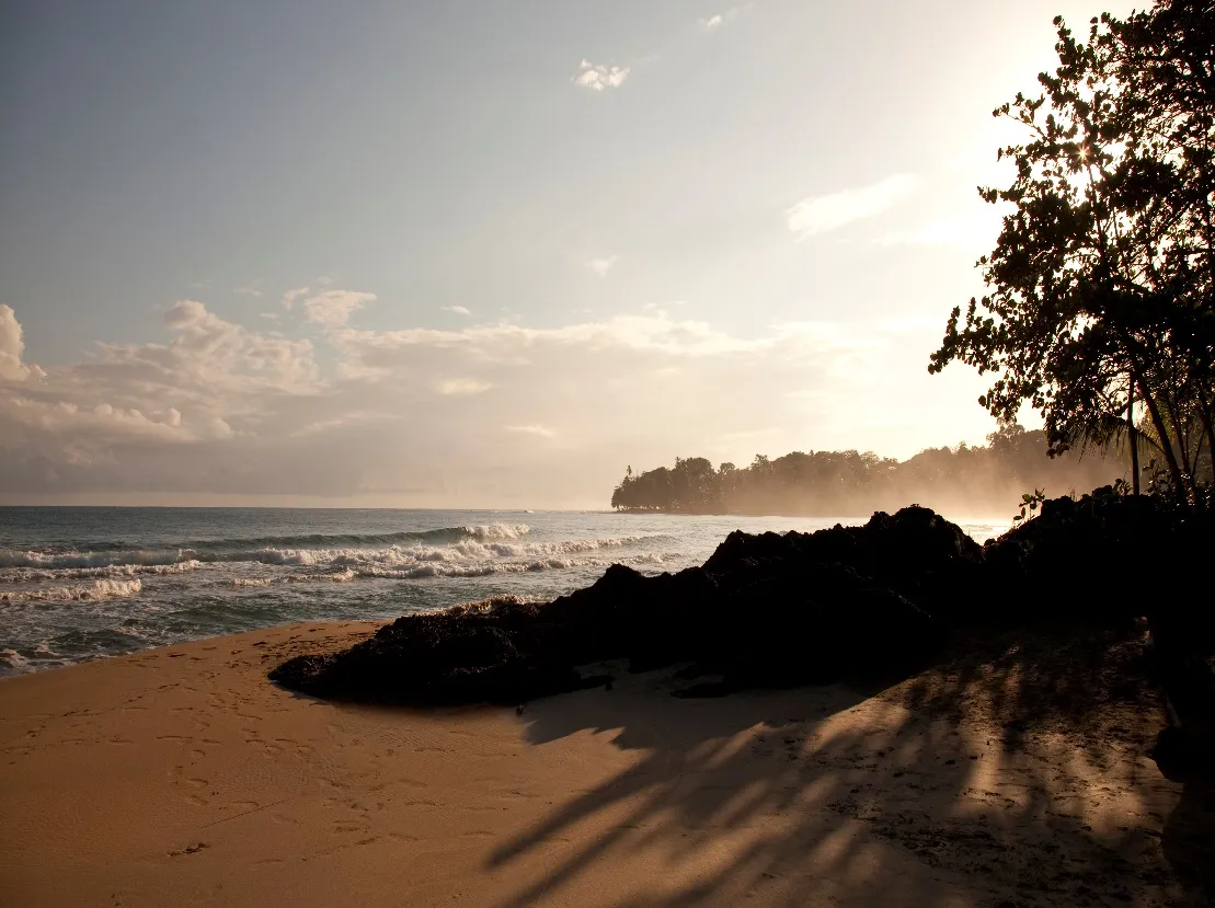 Turquoise reef and palm beach on the South Caribbean coast